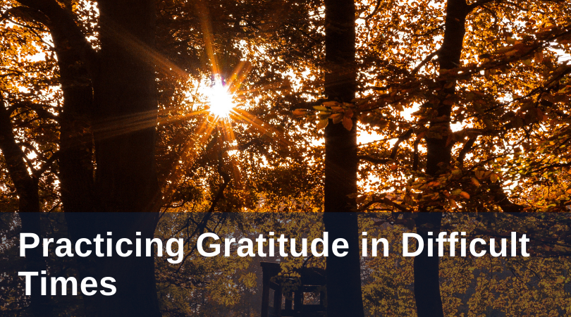 Diltz Gratitude title
