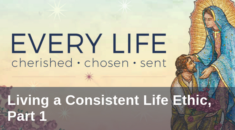 Keating Consistent Life Ethic 1 title